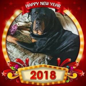 Meet your Posher, Terri